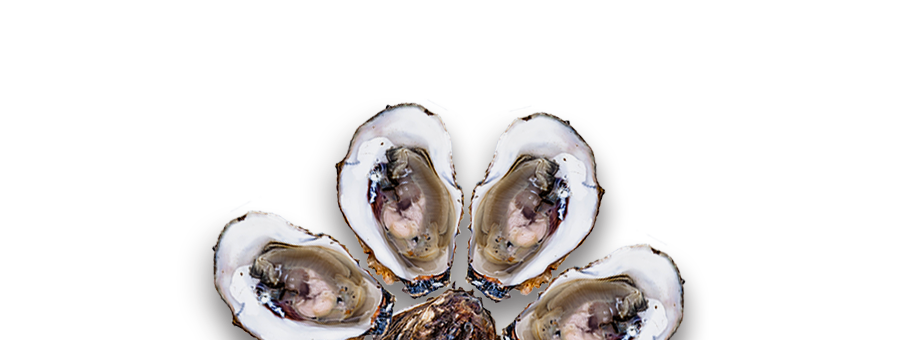 slider_oysters.png